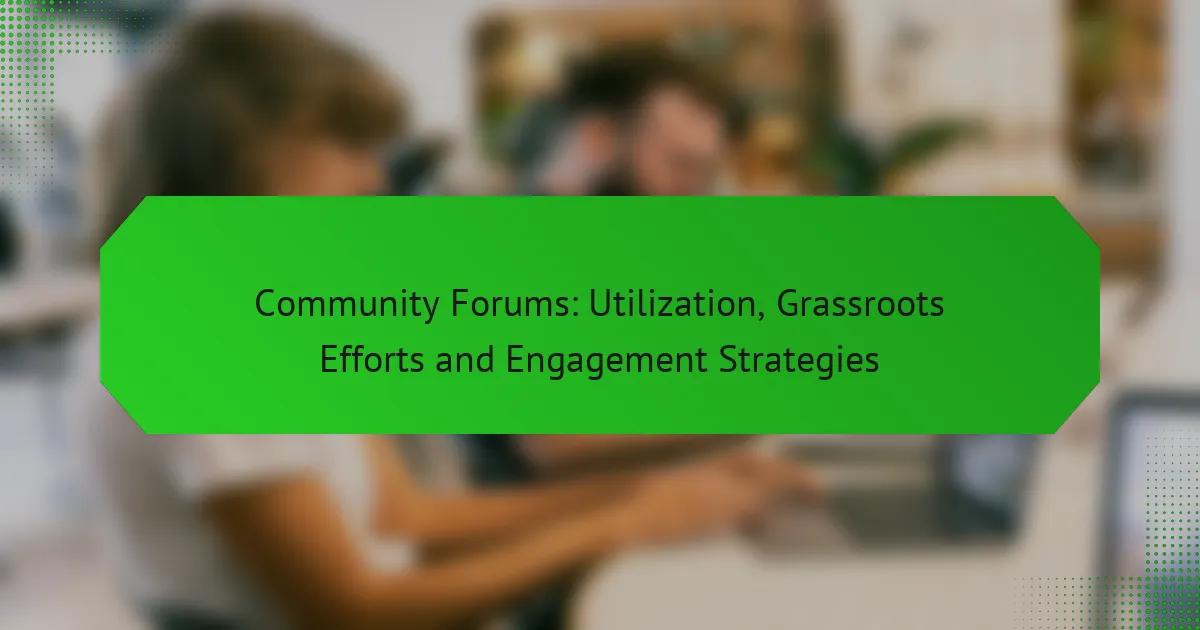 Форумы сообщества: использование, инициативы на местах и стратегии вовлечения