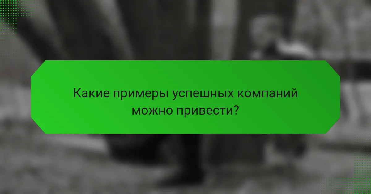 Какие примеры успешных компаний можно привести?